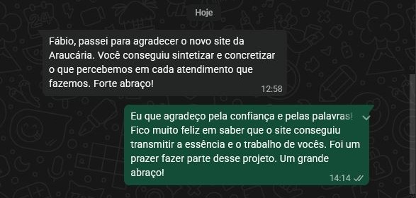 Print de conversa de WhatsApp: cliente agradece pelo novo site, dizendo que ele conseguiu sintetizar e concretizar o que a empresa percebe em cada atendimento que faz.